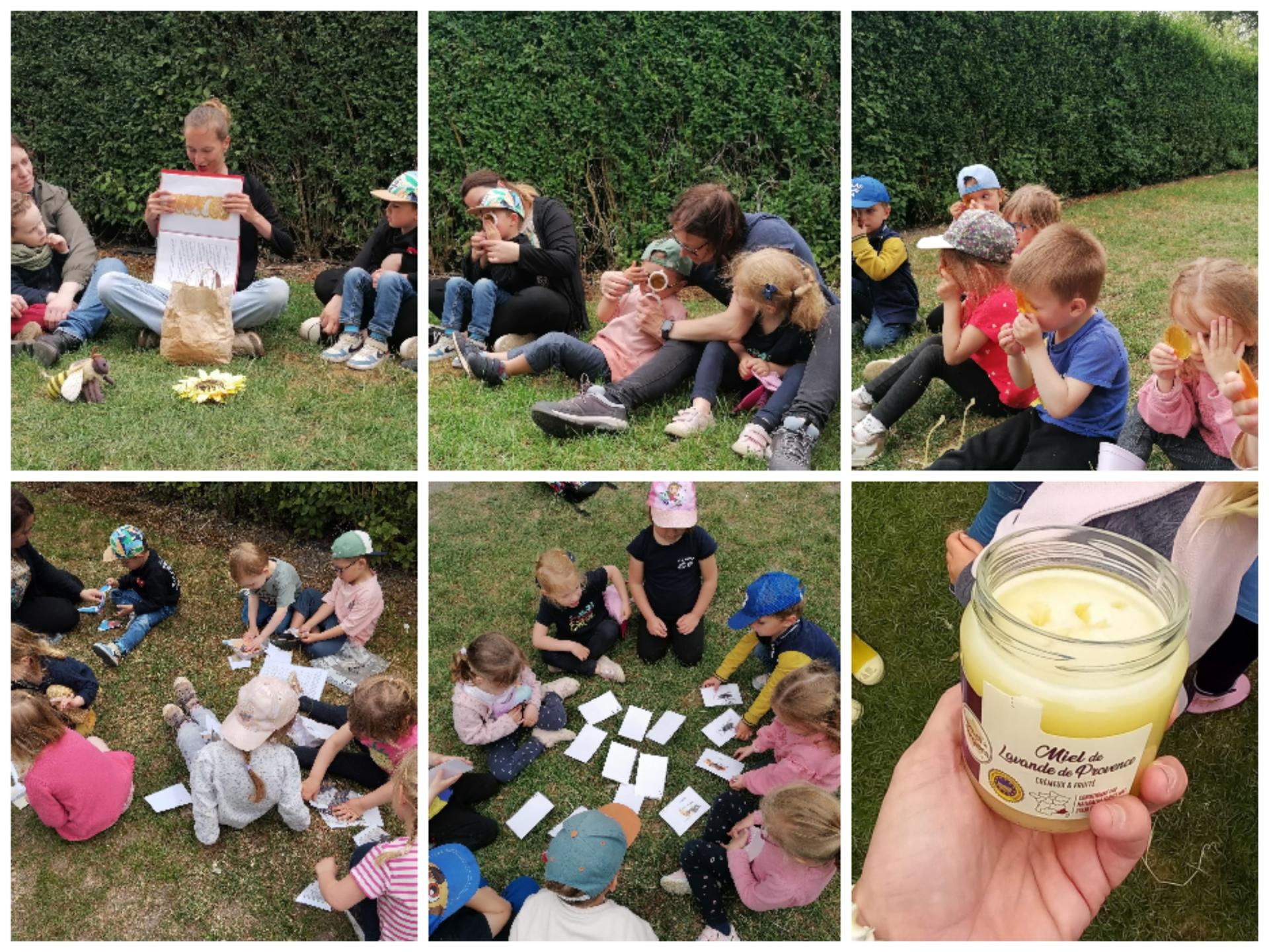 Atelier sur les abeilles et dégustation de miel